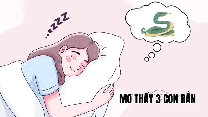 Mơ Thấy 3 Con Rắn Quấn Vào Nhau