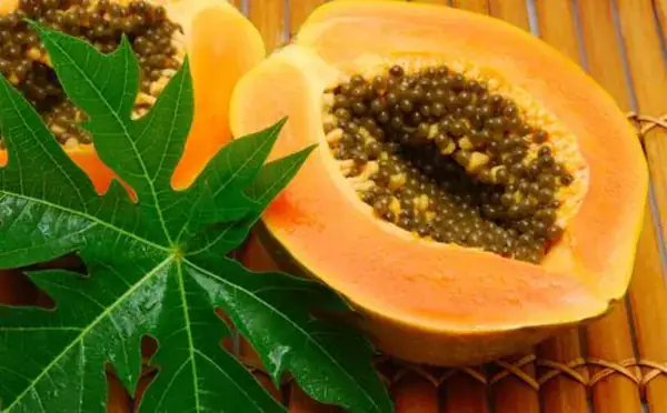 Mơ Thấy Ăn Đu Đủ Chín Đánh Đề Con Gì
