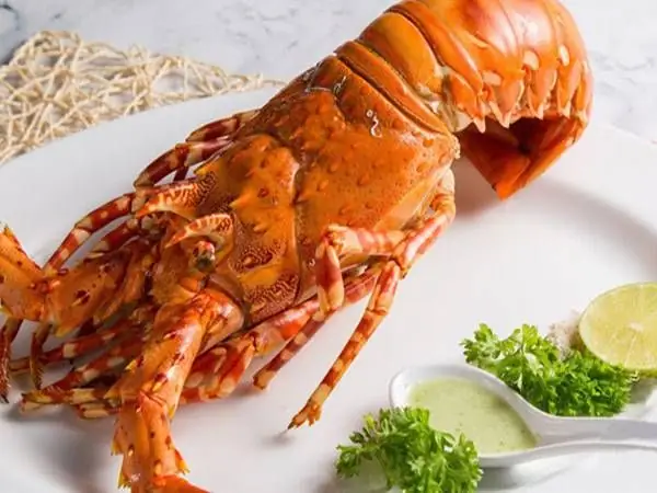 Mơ Thấy Ăn Tôm Hùm Điềm Báo Gì Mơ Thấy Ăn Tôm Hùm Điềm Báo Gì