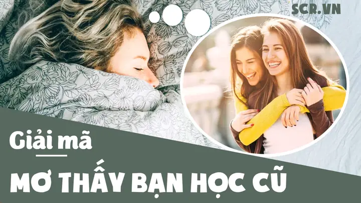 Mơ Thấy Bạn Học Cũ Lâu Ngày Không Gặp