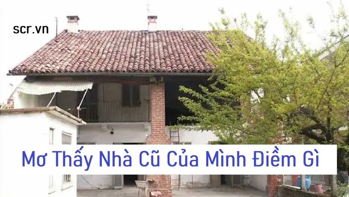 Mơ Thấy Bạn Học Cũ Lâu Ngày Không Gặp