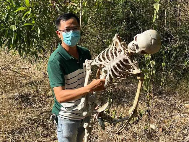 Mơ Thấy Bộ Xương Người Đánh Số Gì Mơ Thấy Bộ Xương Người Đánh Số Gì