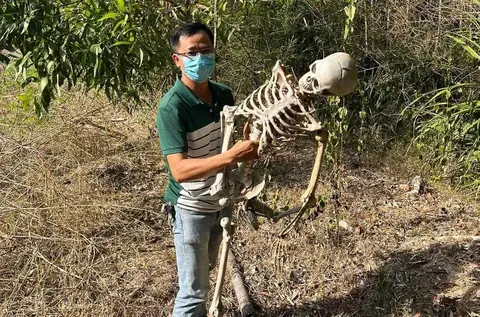 Mơ Thấy Bộ Xương Người Đánh Số Gì