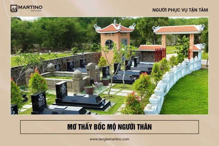 Mơ Thấy Bốc Mộ Bố Đánh Con Gì