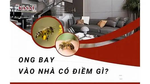 Mơ Thấy Bướm Phụ Nữ Không Có Lông Đánh De Con Gì Mơ Thấy Bướm Phụ Nữ Không Có Lông Đánh De Con Gì