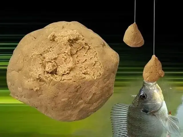 Mơ Thấy Câu Được Cá Rô Đồng Đánh Con Gì