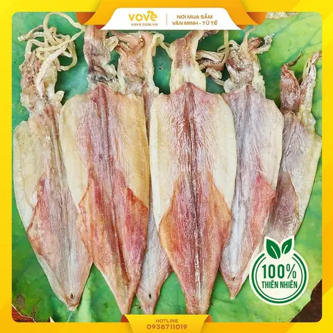 Mơ Thấy Câu Được Mực Đánh Con Gì Mơ Thấy Câu Được Mực Đánh Con Gì