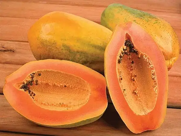Mơ Thấy Cây Đu Đủ Đánh Con Gì