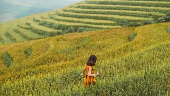 Mơ Thấy Đi Du Lịch Cùng Bạn Be Mơ Thấy Đi Du Lịch Cùng Bạn Be