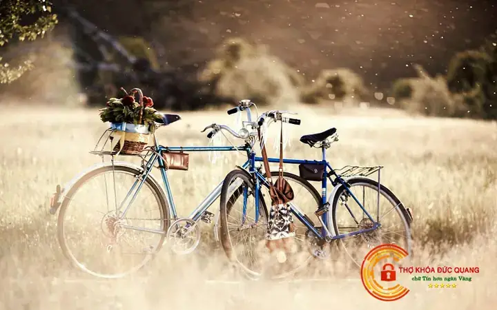 Mơ Thấy Đi Xe Đạp Xuống Dốc Đánh Con Gì