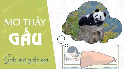 Mơ Thấy Gấu Đen Đánh Đề Số May