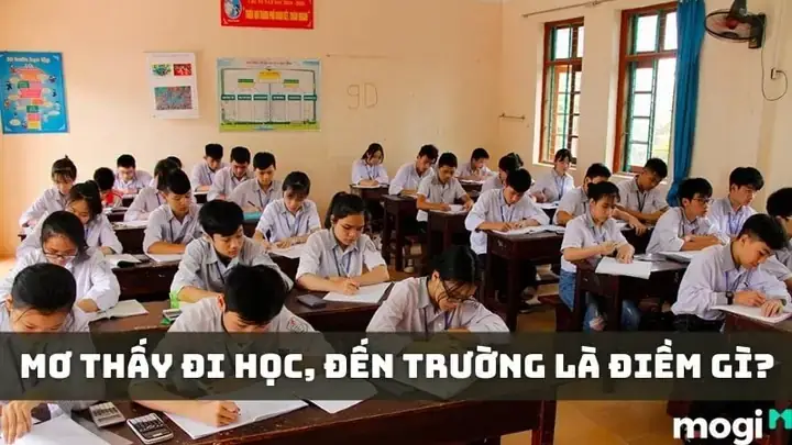 Mơ Thấy Lớp Học Đông Người Đánh Con Gì