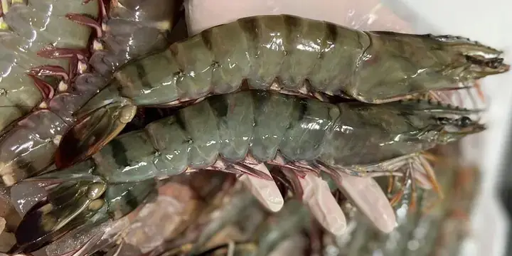Mơ Thấy Mình Ăn Tôm Đánh Con Gì