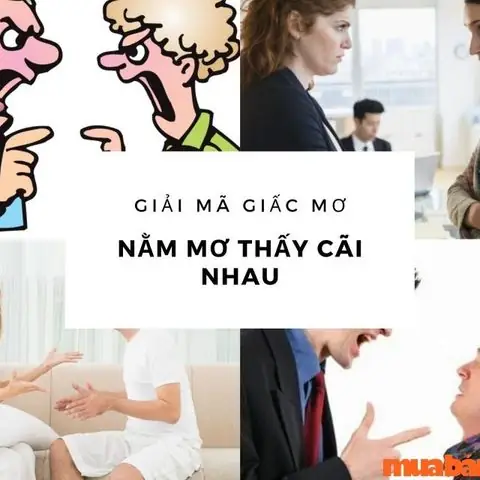 Mơ Thấy Mình Chửi Người Khác Đánh Con Gì Mơ Thấy Mình Chửi Người Khác Đánh Con Gì