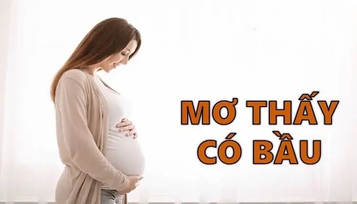 Mơ Thấy Mình Mang Bầu Là Điềm Báo Gì