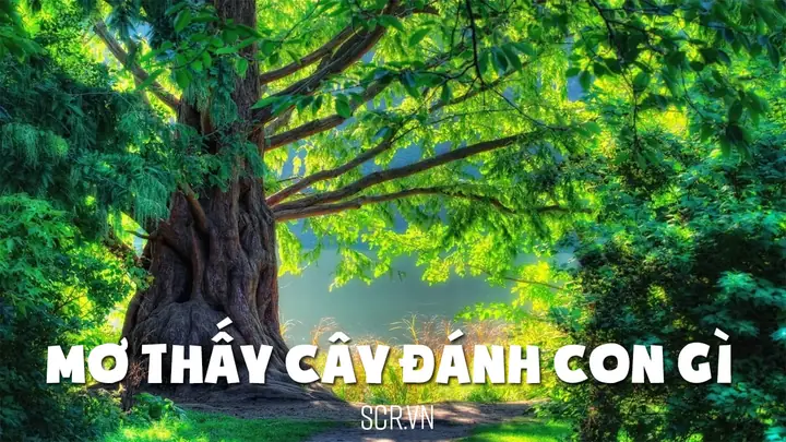 Mơ Thấy Người Đàn Ông Lạ Đánh Con Gì Mơ Thấy Người Đàn Ông Lạ Đánh Con Gì