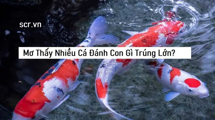Mơ Thấy Người Khác Xây Nhà Đánh Con Gì