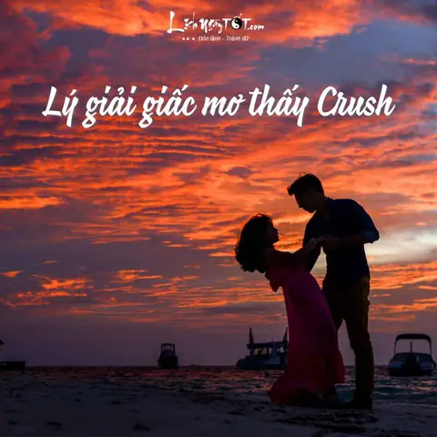 Mơ Thấy Người Mình Thích Tỏ Tình Với Mình Mơ Thấy Người Mình Thích Tỏ Tình Với Mình