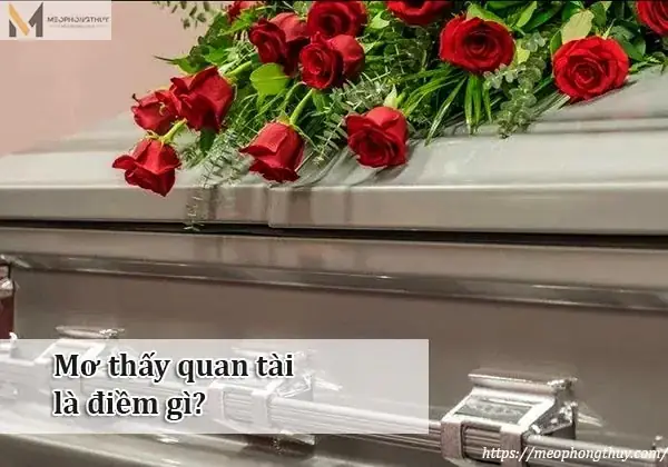 Mơ Thấy Nhiều Con Vật Đánh Con Gì Mơ Thấy Nhiều Con Vật Đánh Con Gì