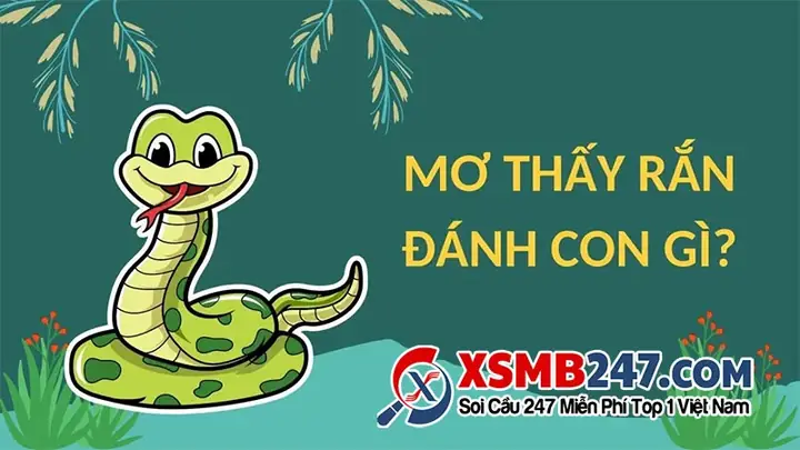 Mơ Thấy Nhiều Rắn Nhỏ Đánh Con Gì