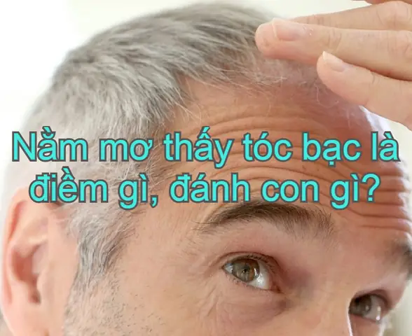 Mơ Thấy Nhổ Tóc Bạc Đánh Con Gì Mơ Thấy Nhổ Tóc Bạc Đánh Con Gì