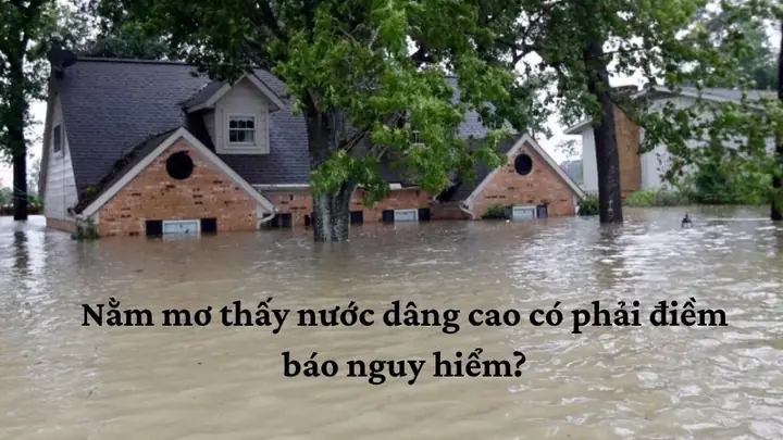 Mơ Thấy Nước Lũ Dâng Cao Điềm Báo Gì Mơ Thấy Nước Lũ Dâng Cao Điềm Báo Gì