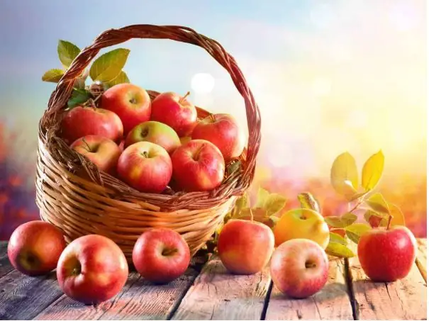 Mơ Thấy Quả Táo Ta Đánh Con Gì Mơ Thấy Quả Táo Ta Đánh Con Gì