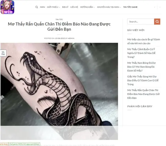 Mơ Thấy Rắn Quấn Quanh Người Đánh Con Gì Mơ Thấy Rắn Quấn Quanh Người Đánh Con Gì