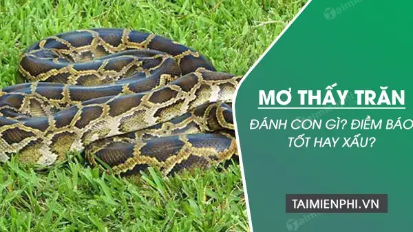 Mơ Thấy Rắn Và Trăn Đánh Con Gì Mơ Thấy Rắn Và Trăn Đánh Con Gì