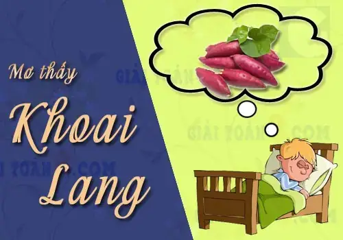 Mơ Thấy Rau Khoai Lang Đánh Con Gì