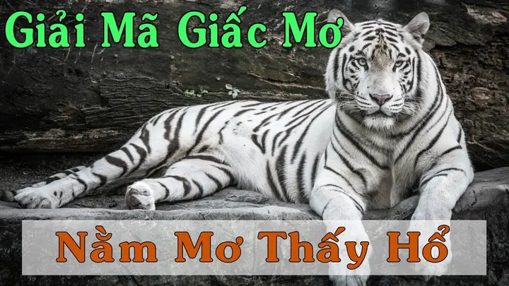 Mơ Thấy Sư Tử Đuổi Đánh Con Gì