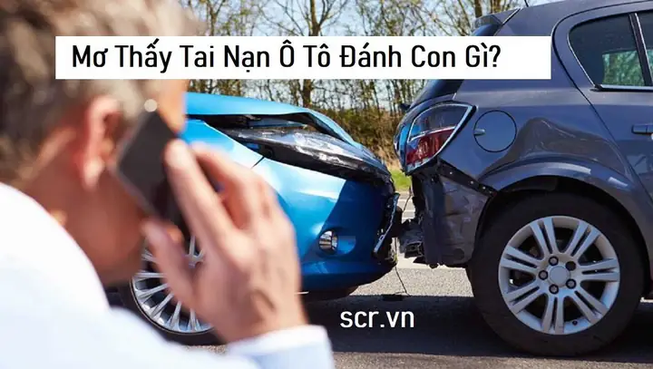 Mơ Thấy Tai Nạn Ô To Đánh Số Gì Mơ Thấy Tai Nạn Ô To Đánh Số Gì