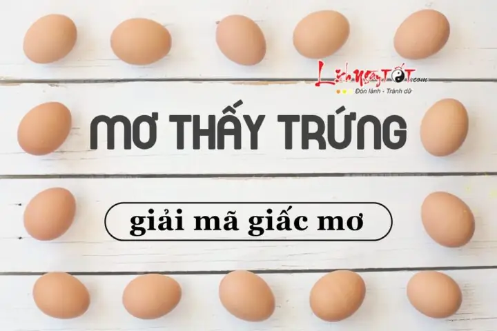 Mơ Thấy Trứng Gà Nở Thành Con Đánh Con Gì