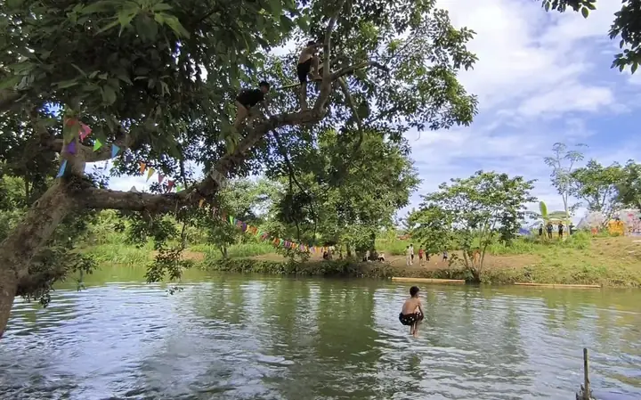 Mơ Thấy Vác Cây Tre Đánh Con Gì Mơ Thấy Vác Cây Tre Đánh Con Gì