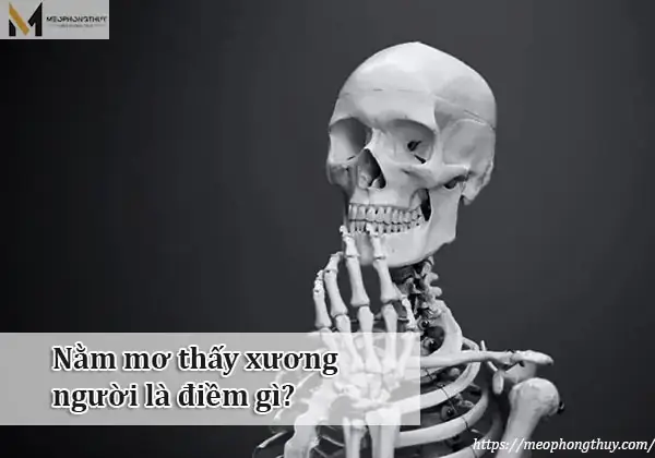 Mơ Thấy Xương Cốt Đánh Đề Con Gì