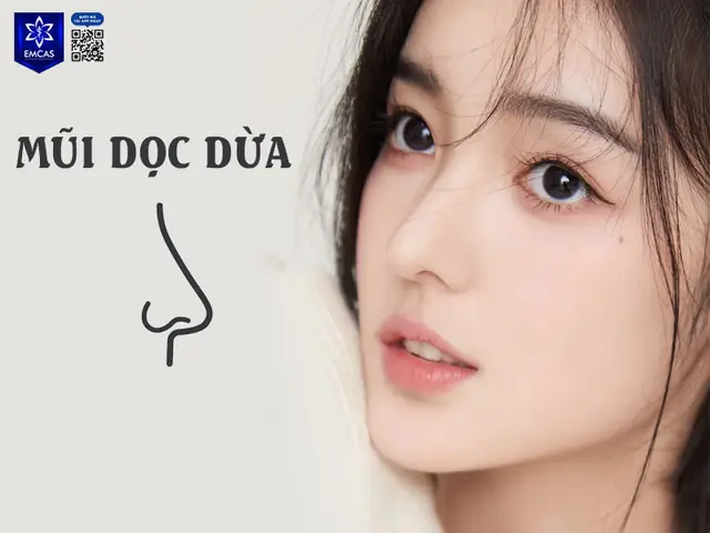 Mũi Dọc Dừa Nhân Tướng Học Mũi Dọc Dừa Nhân Tướng Học