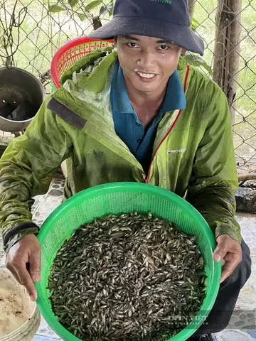 Nằm Mơ Bắt Được Nhiều Cá Rô Đồng