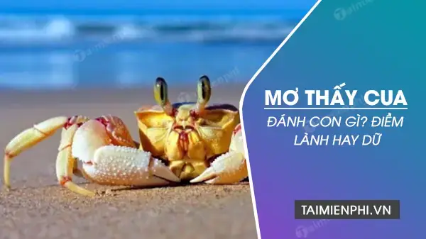Nằm Mơ Bắt Được Nhiều Lươn Đánh Con Gì