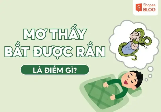 Nằm Mơ Bắt Được Rắn Đánh De Con Gì Nằm Mơ Bắt Được Rắn Đánh De Con Gì
