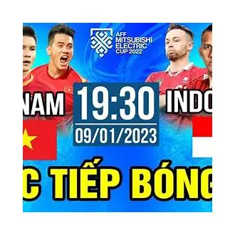 Nằm Mơ Bắt Được Rùa Đánh Con Gì Nằm Mơ Bắt Được Rùa Đánh Con Gì