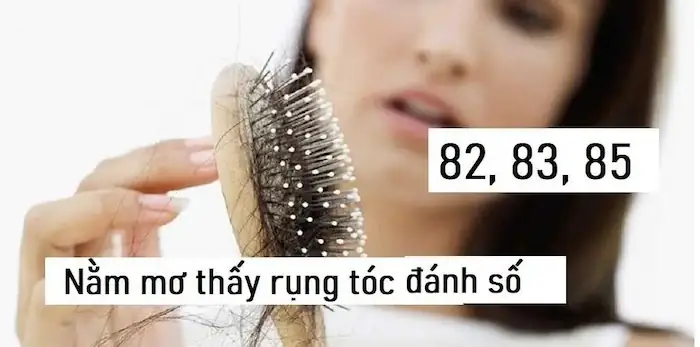 Nằm Mơ Bị Hói Đầu Đánh Con Gì