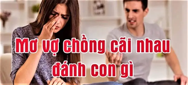 Nằm Mơ Đánh Nhau Đánh Đề Con Gì