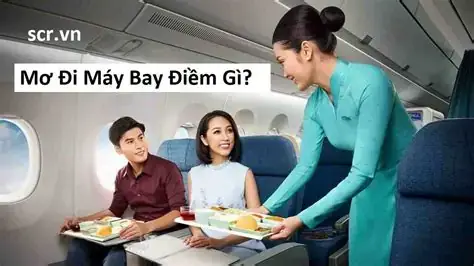 Nằm Mơ Đi Máy Bay Đánh Con Gì