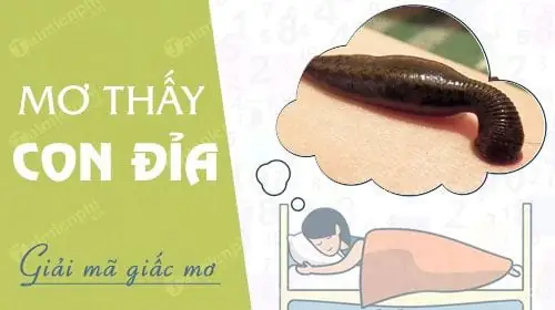 Nằm Mơ Đỉa Cắn Đánh Con Đề Gì Nằm Mơ Đỉa Cắn Đánh Con Đề Gì