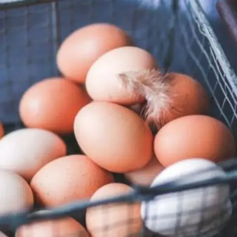 Nằm Mơ Nhặt Được Nhiều Trứng Đánh Con Gì