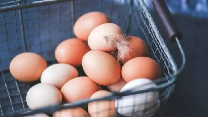 Nằm Mơ Nhặt Được Nhiều Trứng Đánh Con Gì