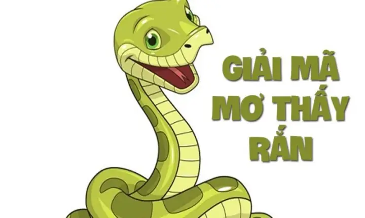 Nằm Mơ Thấy 2 Con Rắn Đánh Số Gì Nằm Mơ Thấy 2 Con Rắn Đánh Số Gì