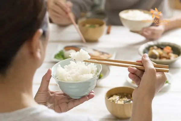Nằm Mơ Thấy An Com Với Thịt Heo Nằm Mơ Thấy An Com Với Thịt Heo
