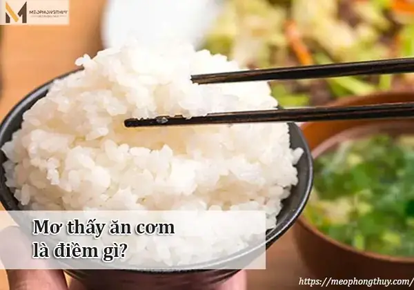 Nằm Mơ Thấy Ăn Ốc Đánh Số Gì Nằm Mơ Thấy Ăn Ốc Đánh Số Gì
