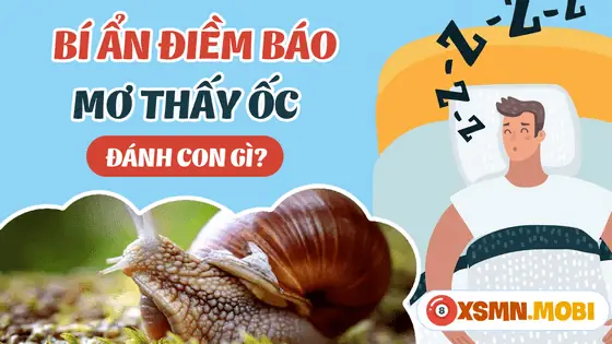 Nằm Mơ Thấy Ăn Ốc Đánh Số Gì